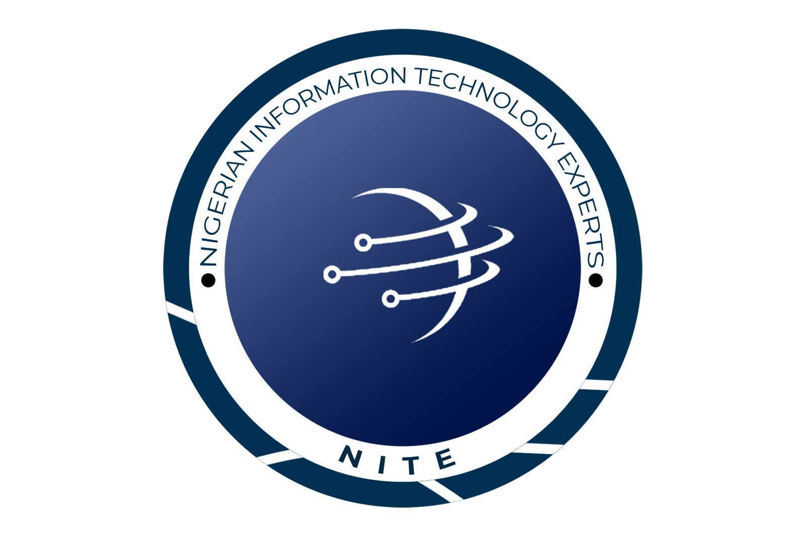 Nigerian Information Technology Experts